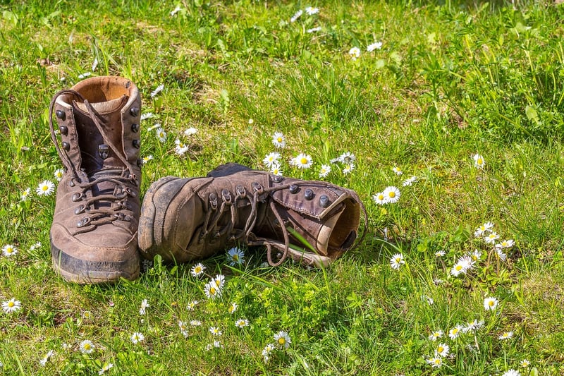 Hiking Boots